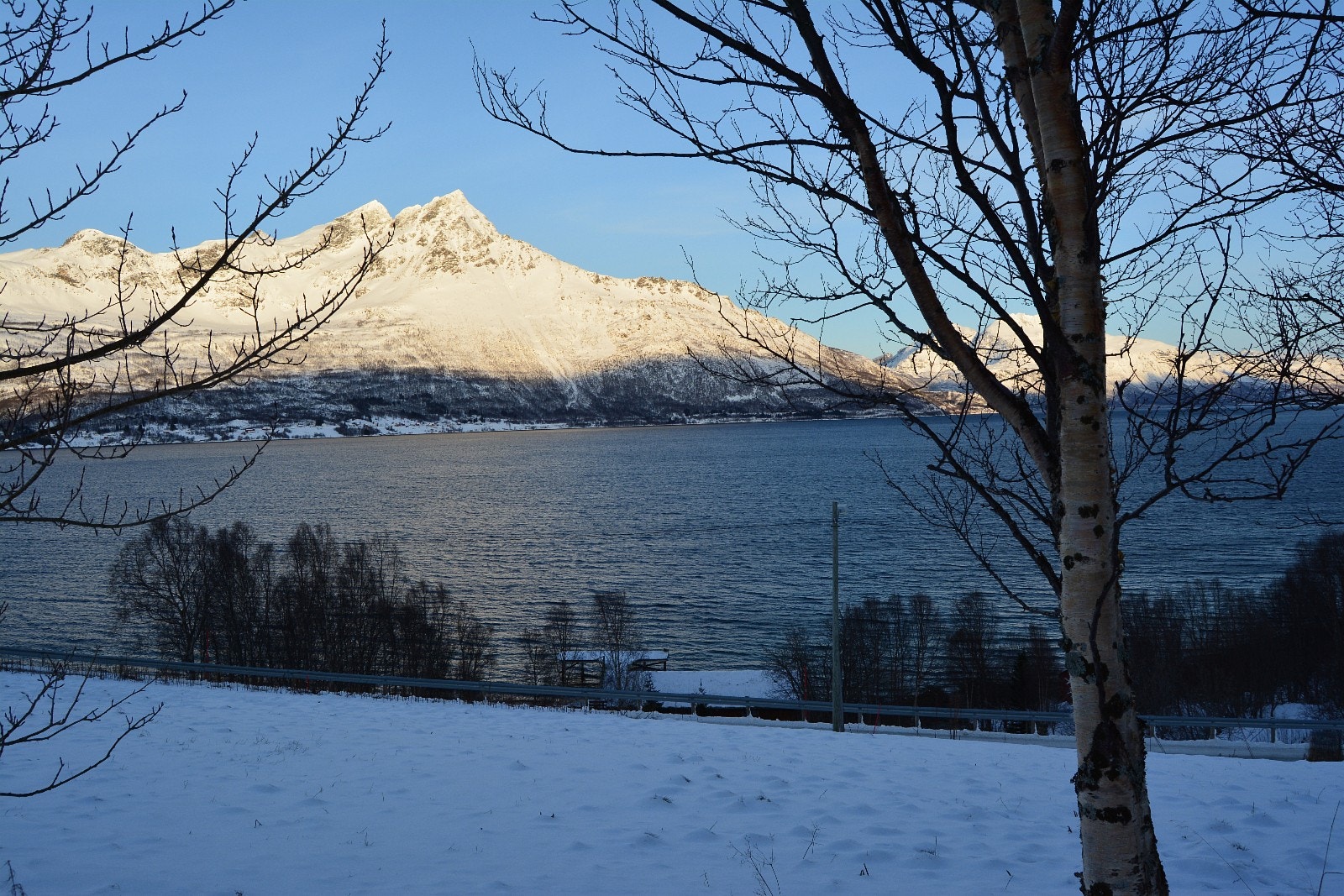 Utsikt fra kjøkkenvindu Galleribilde