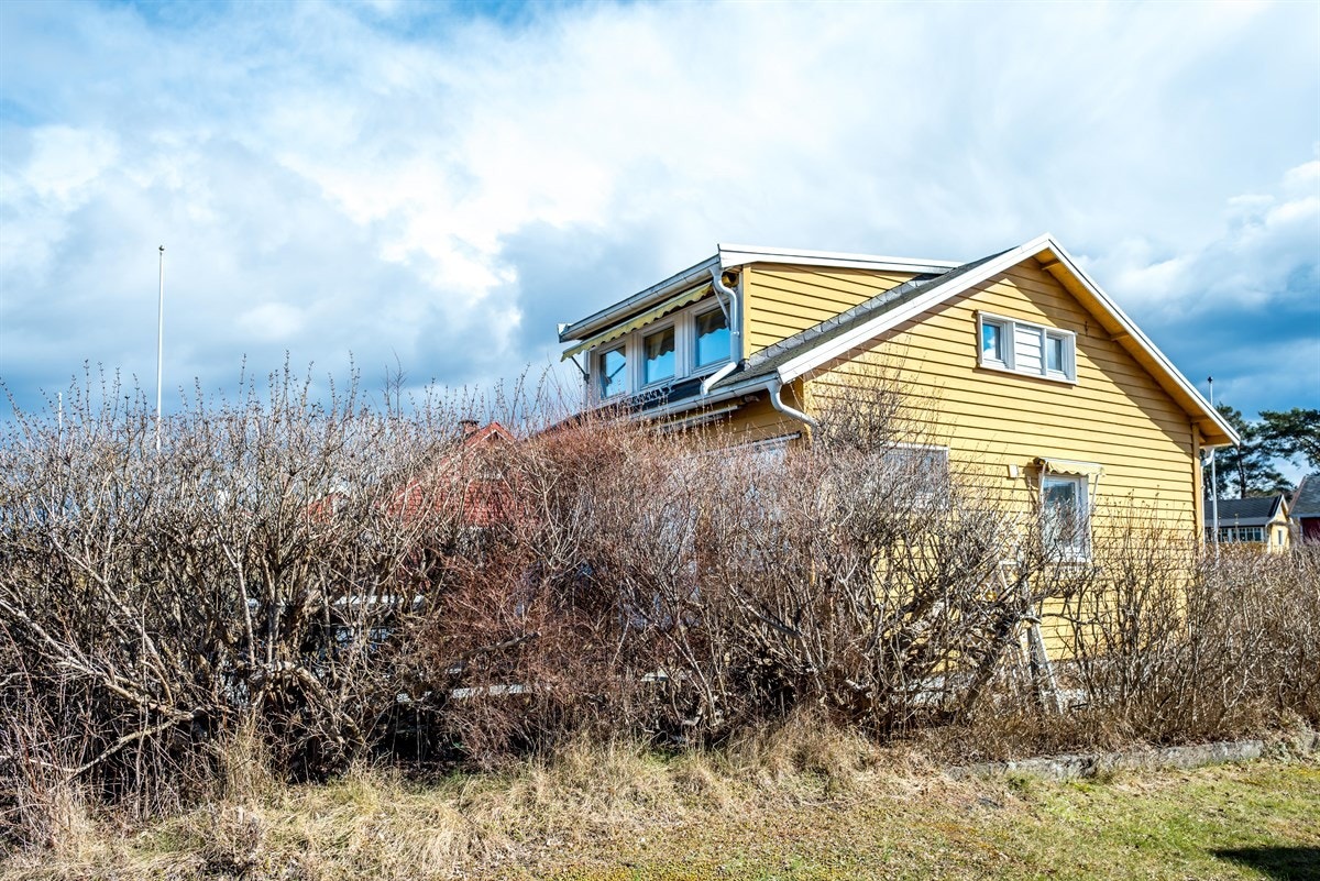 Hytta fra siden Galleribilde