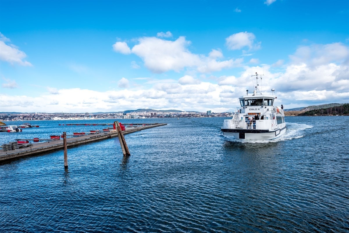 Oslofergen Galleribilde