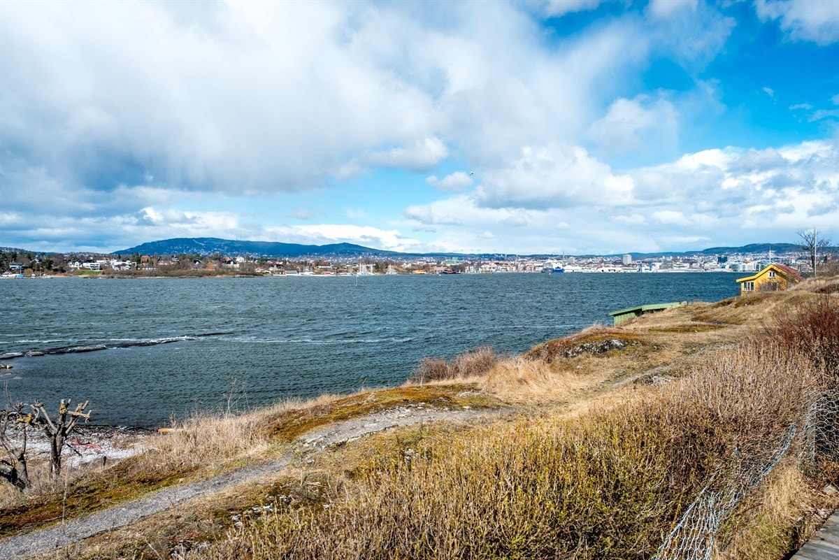 Utsikt fra hytta Galleribilde