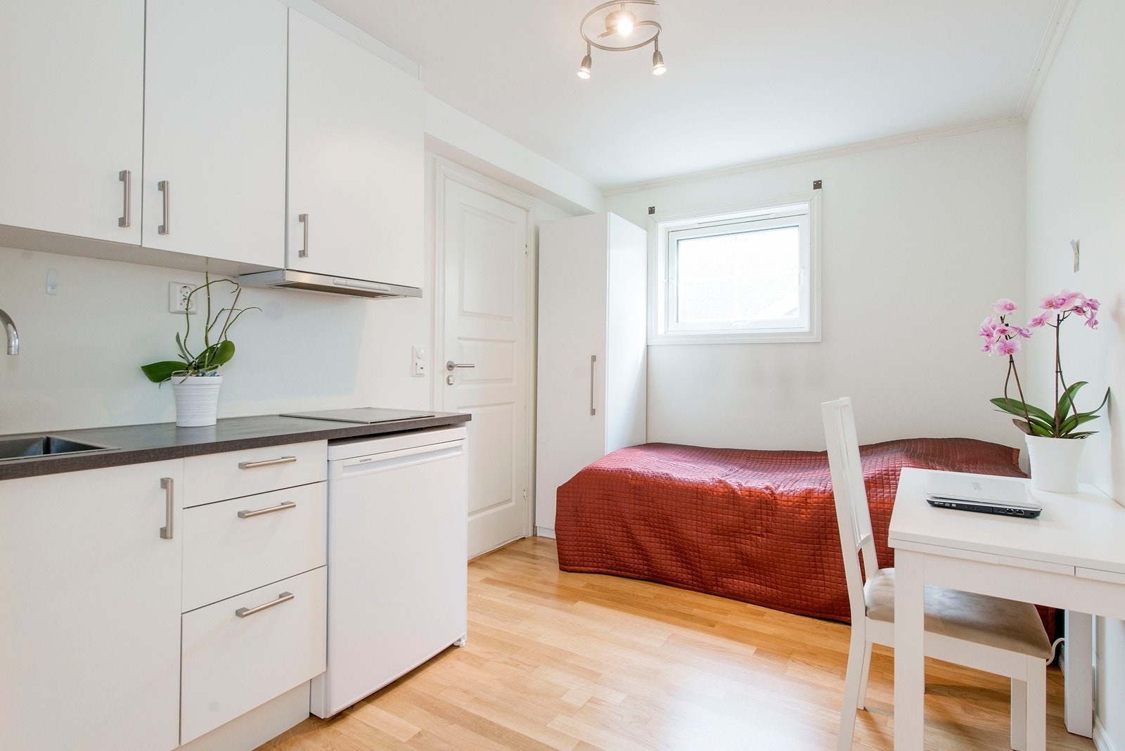 Kjellerstue med minikjøkken Galleribilde