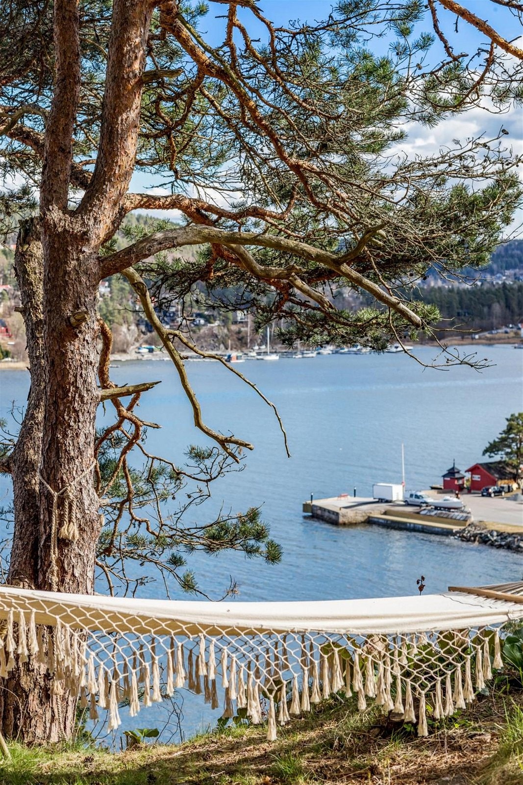 Dette er en perfekt plass for å henge opp en hengekøye. Galleribilde