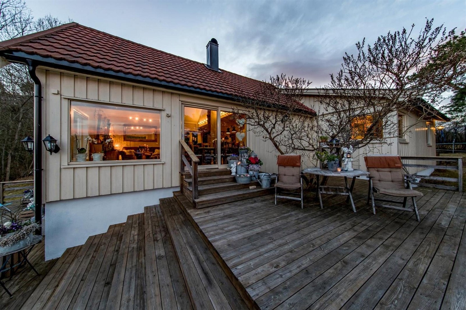 Kveldsfotografi med bilde av treet som ser helt fantastisk ut når det springer ut. Galleribilde