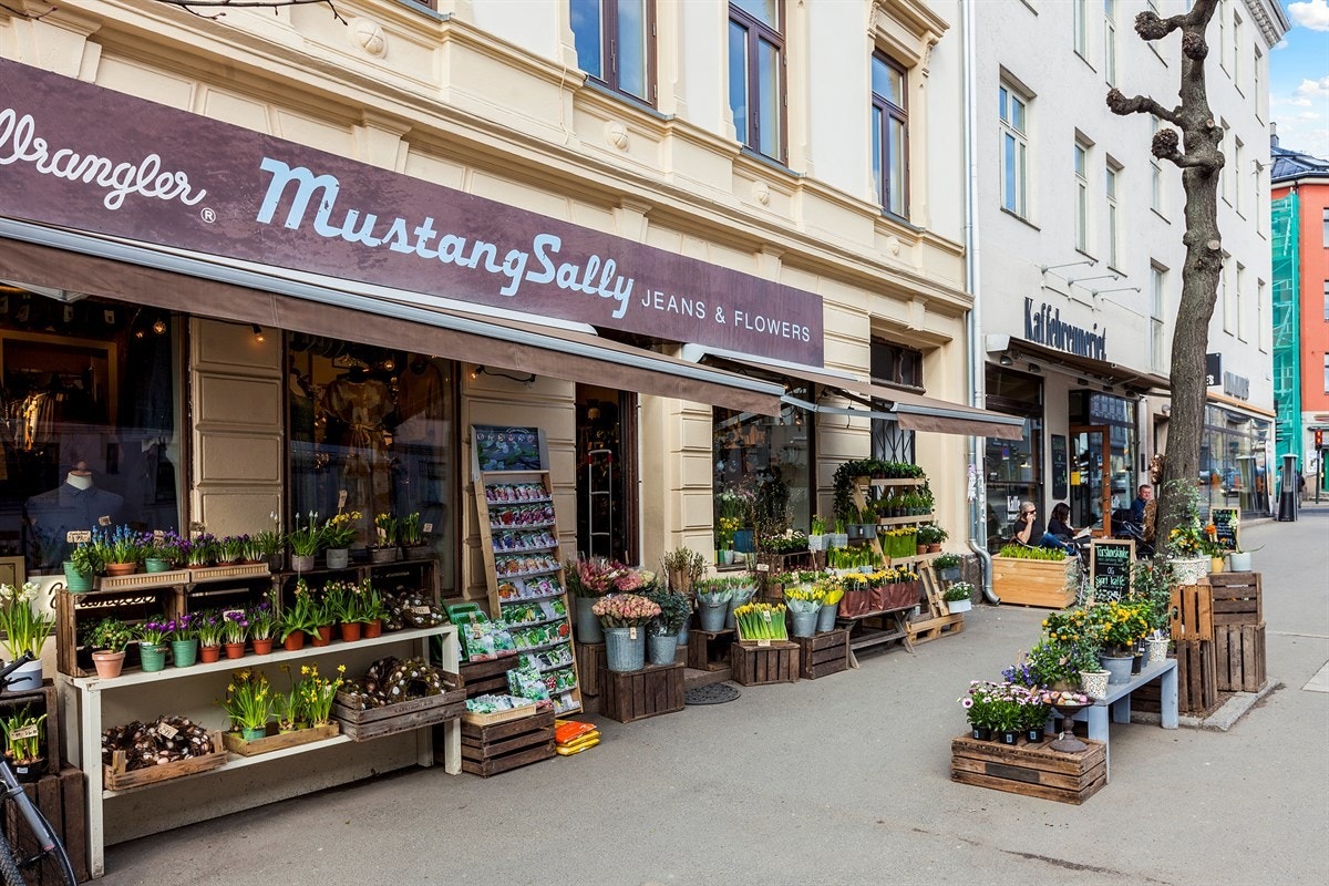 Nærområdet Galleribilde