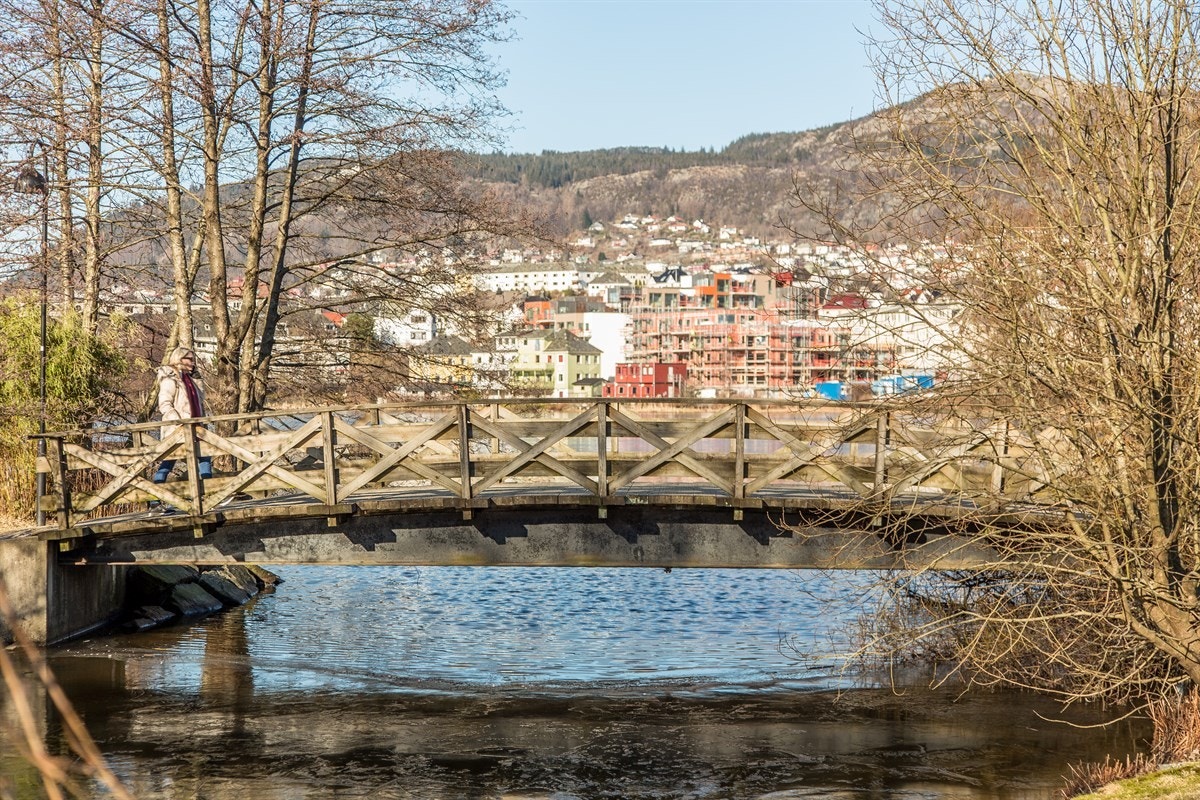 Koselig nærområde Galleribilde