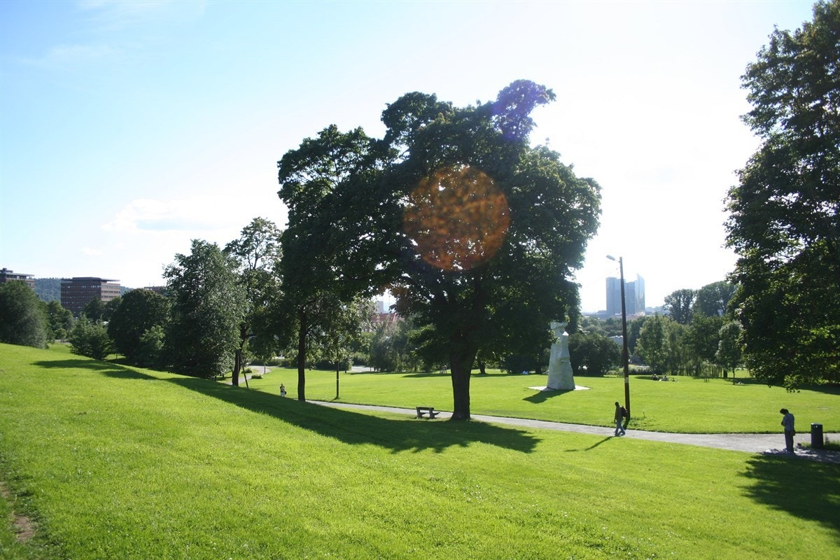 I Tøyenparken, hvor Øya festivalen nå arrangeres, er det sol til rundt 23.00 om kvelden. Galleribilde