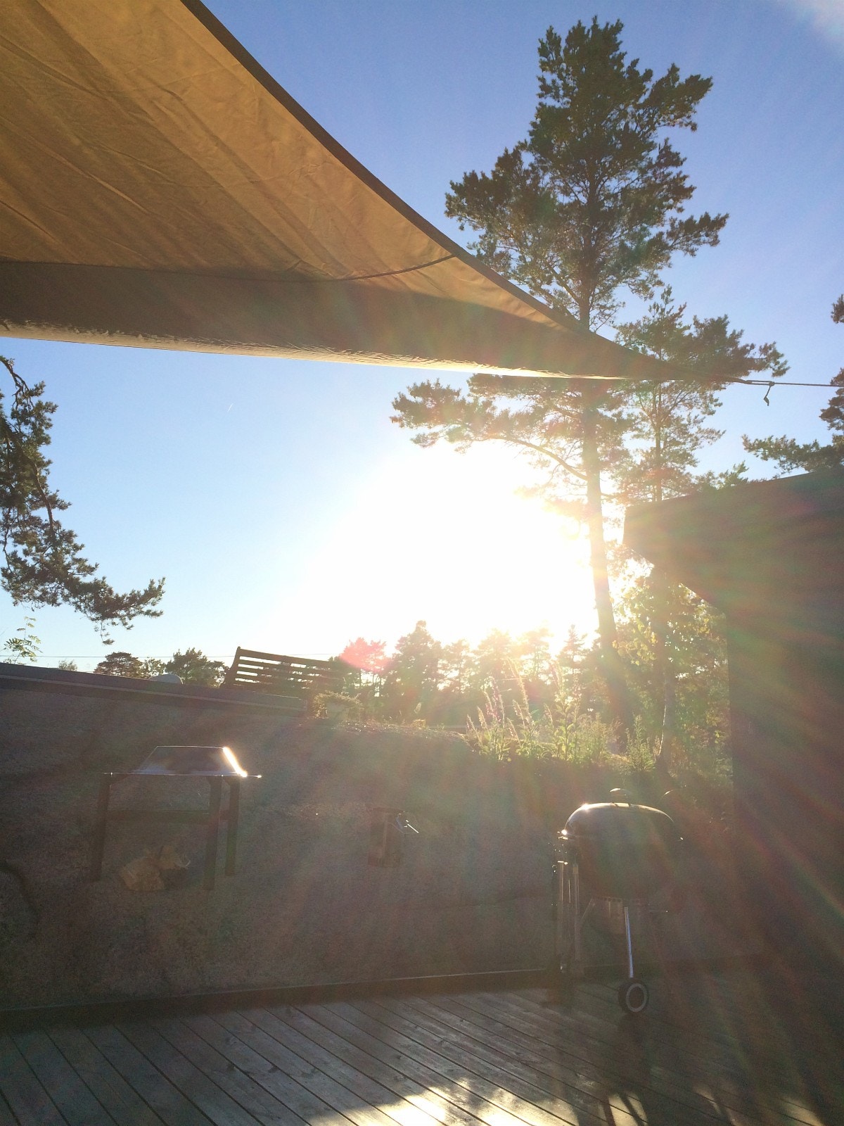 Sol til langt på kvelden selv "nede i bakgården", i deilig le fra sommerbrisen. Galleribilde