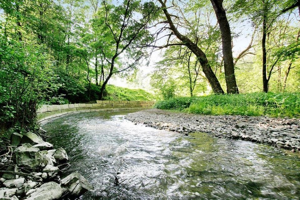 Alnaelven Galleribilde