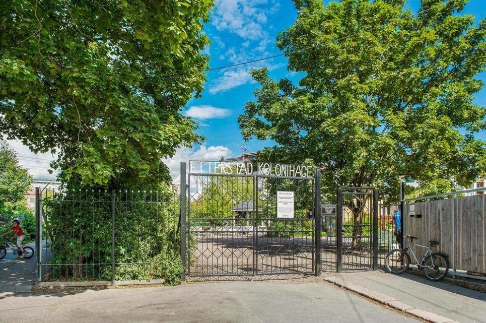 Etterstad Kolonihage Galleribilde