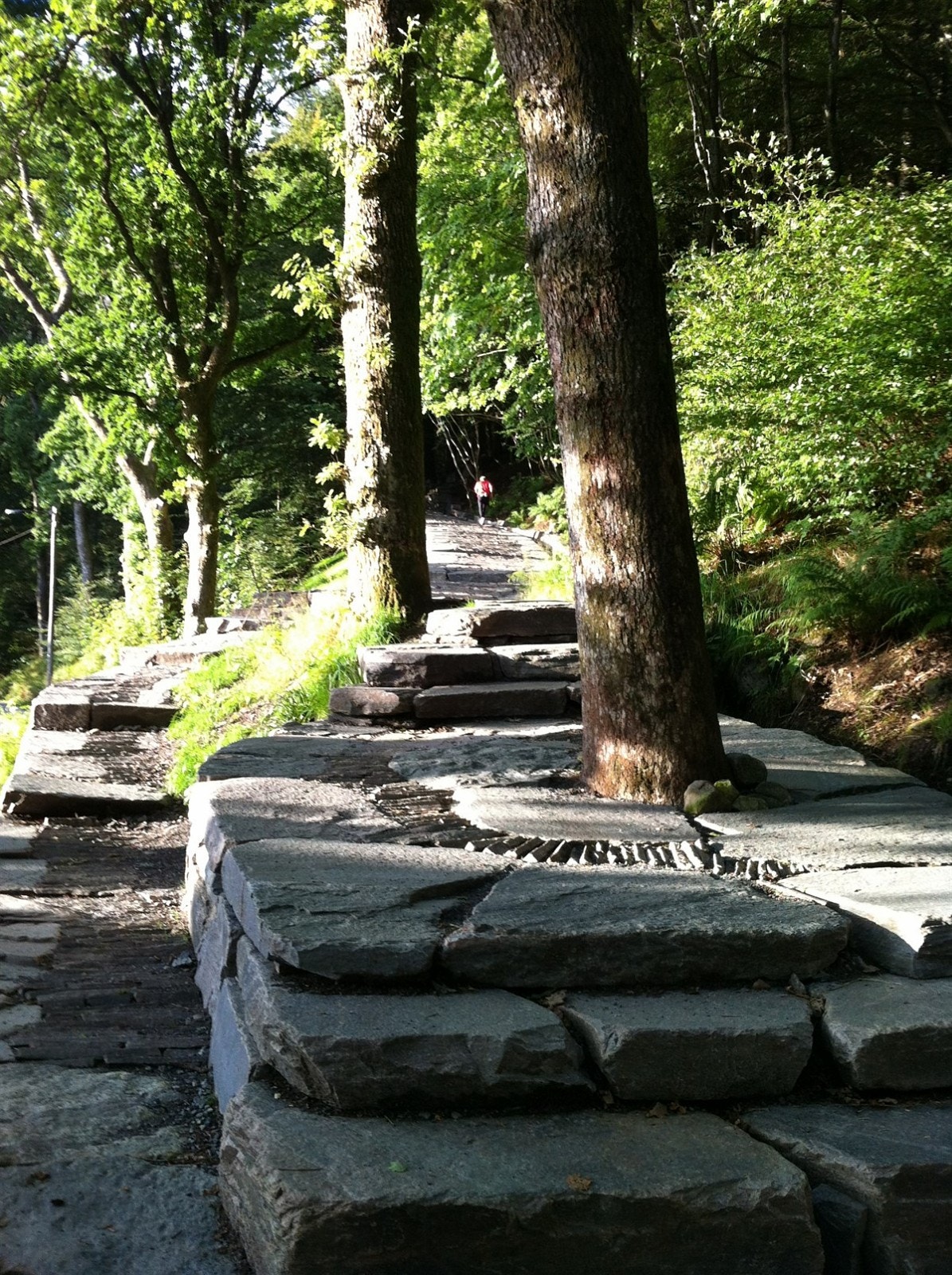 Stoltzekleiven er kun en oppvarmingstur unna, og med sine 908 trappetrinn er dette en økt hvor både kropp og sjel settes på prøve. Galleribilde
