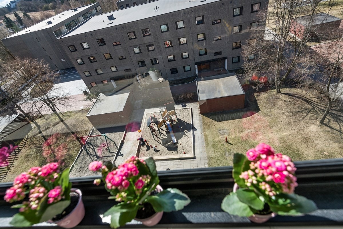 Fellesarealer mellom bebyggelsen. Galleribilde