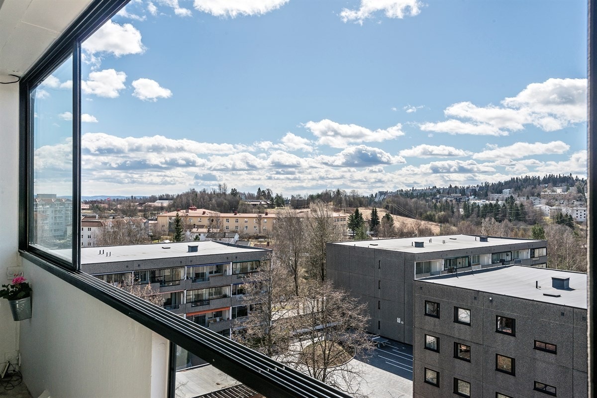 Utsikt. Galleribilde