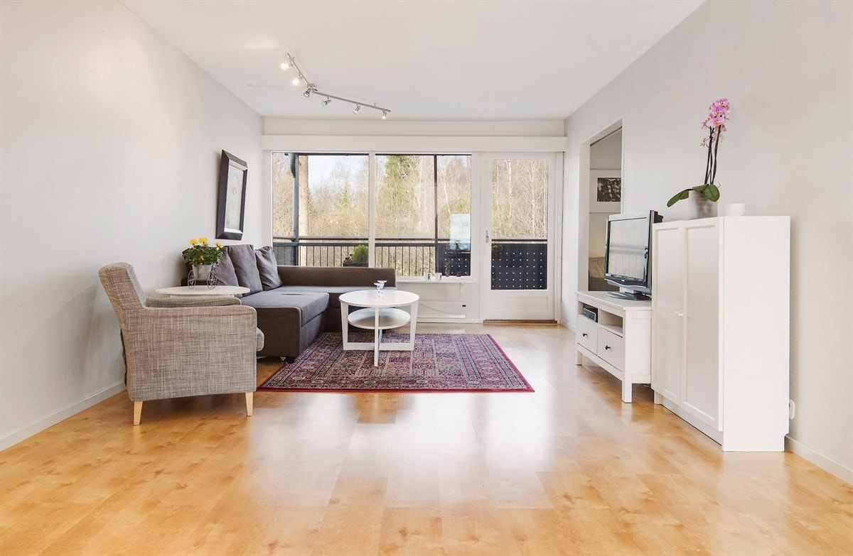 Hyggelig stue med god plass til sofaløsning med tilhørende møblement. Galleribilde