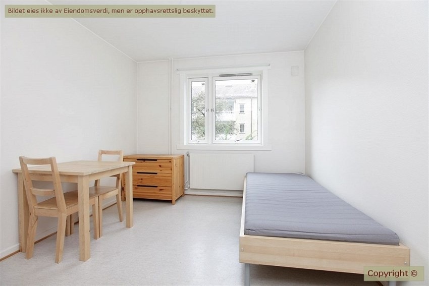 Lys og hyggelig studioleilighet. Galleribilde