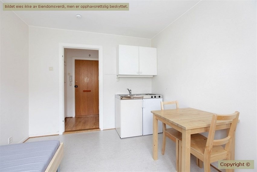 1-roms studioleilighet med hybelkjøkken. Galleribilde