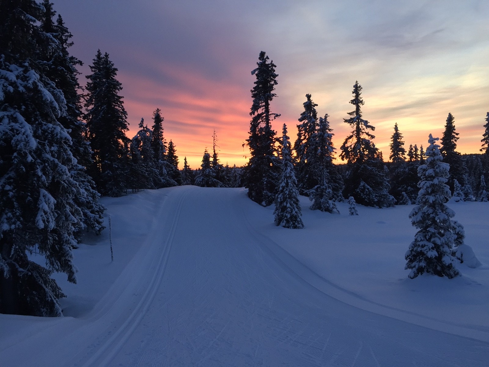 Kveldstur. Det er også lysløype nært hytta Galleribilde