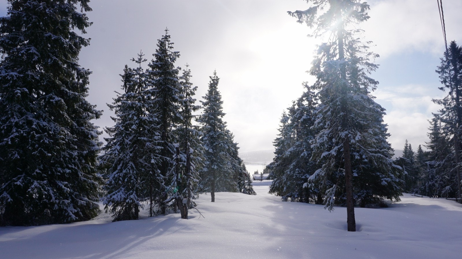 Utsyn mot øst Galleribilde
