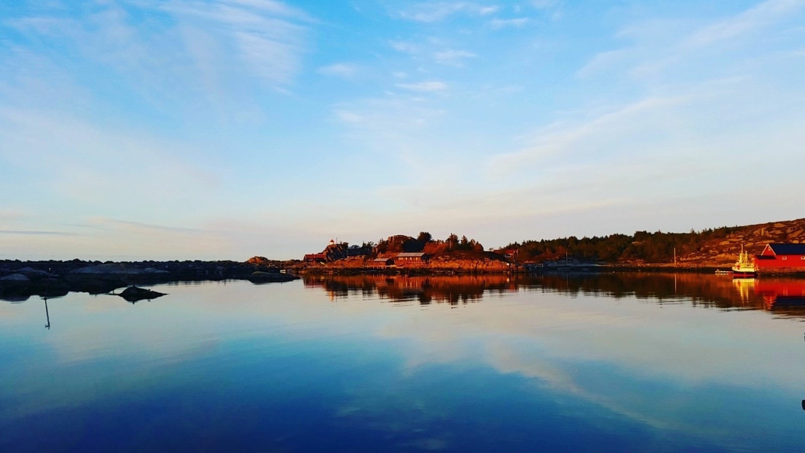 Vågen en fineværsdag med sjødua beliggende innerst. Galleribilde