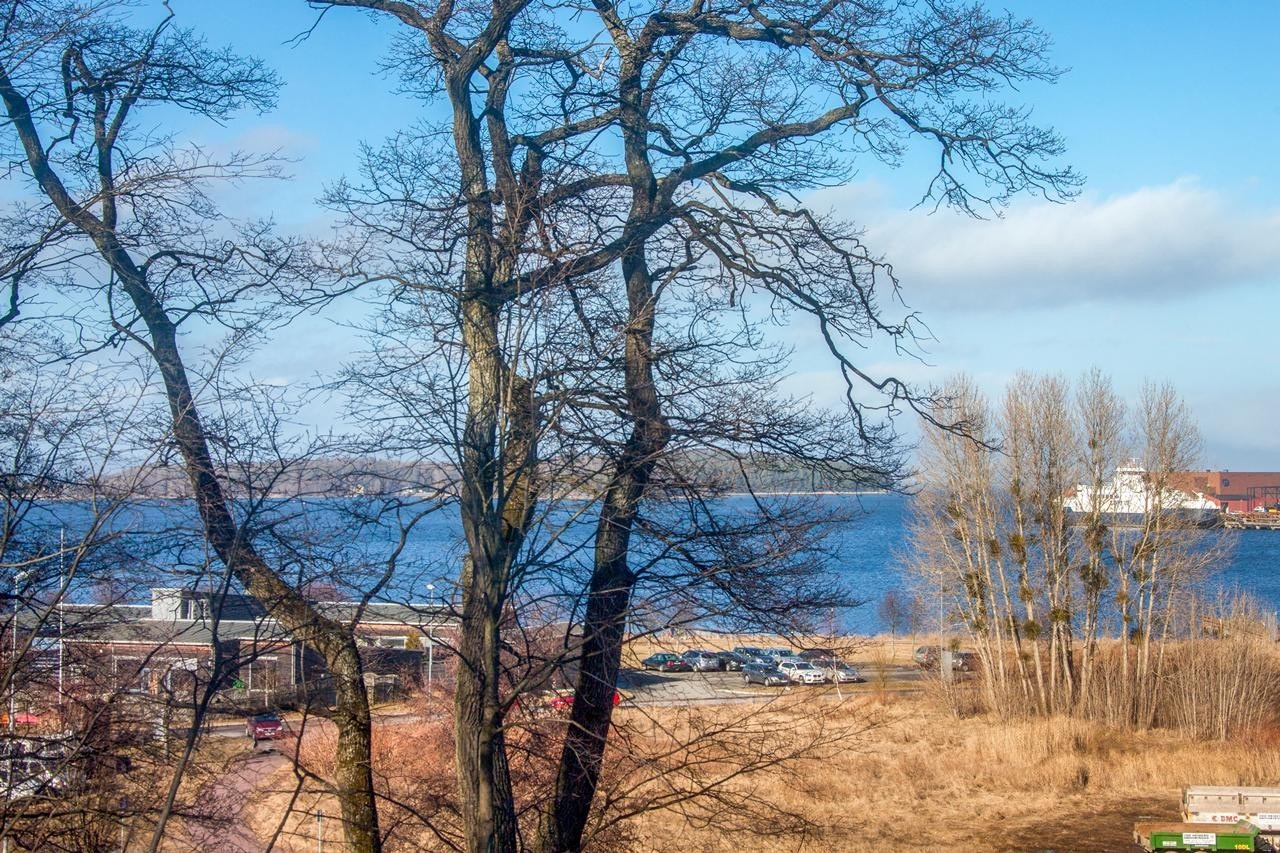 Flottt utsikt mot sjøen fra flere av hyblene. Galleribilde