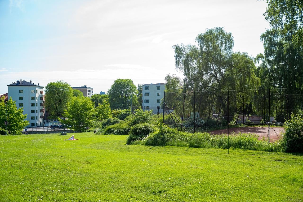 Torshovdalen ligger like ved! Galleribilde