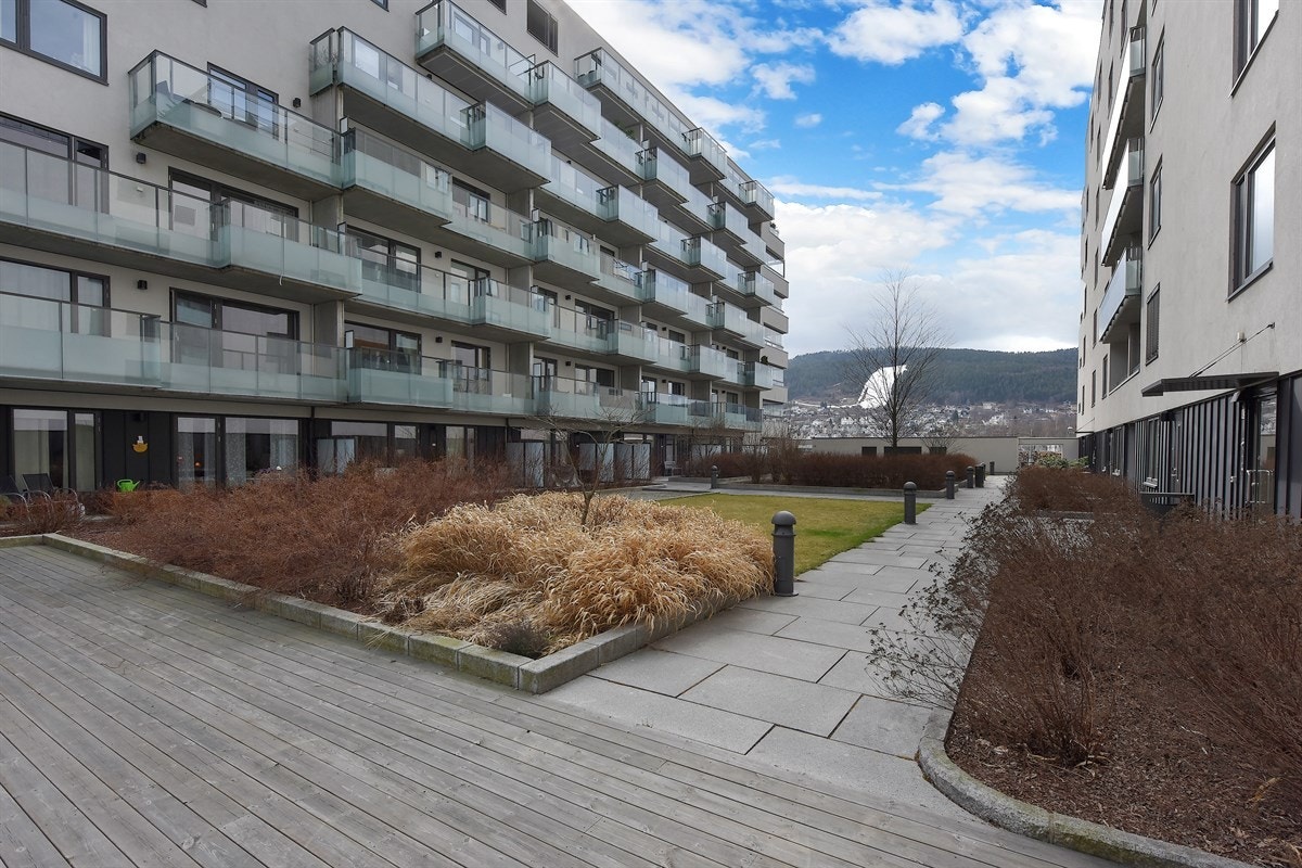 Uteområdet er pent opparbeidet med diverse beplantning. Galleribilde