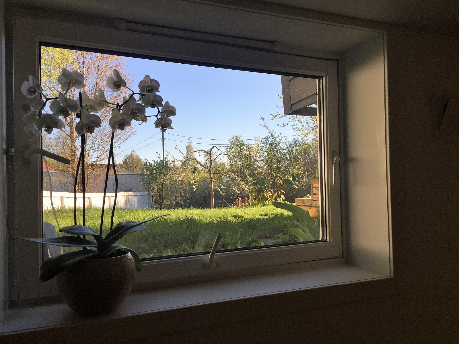 Utsikt fra stue Galleribilde