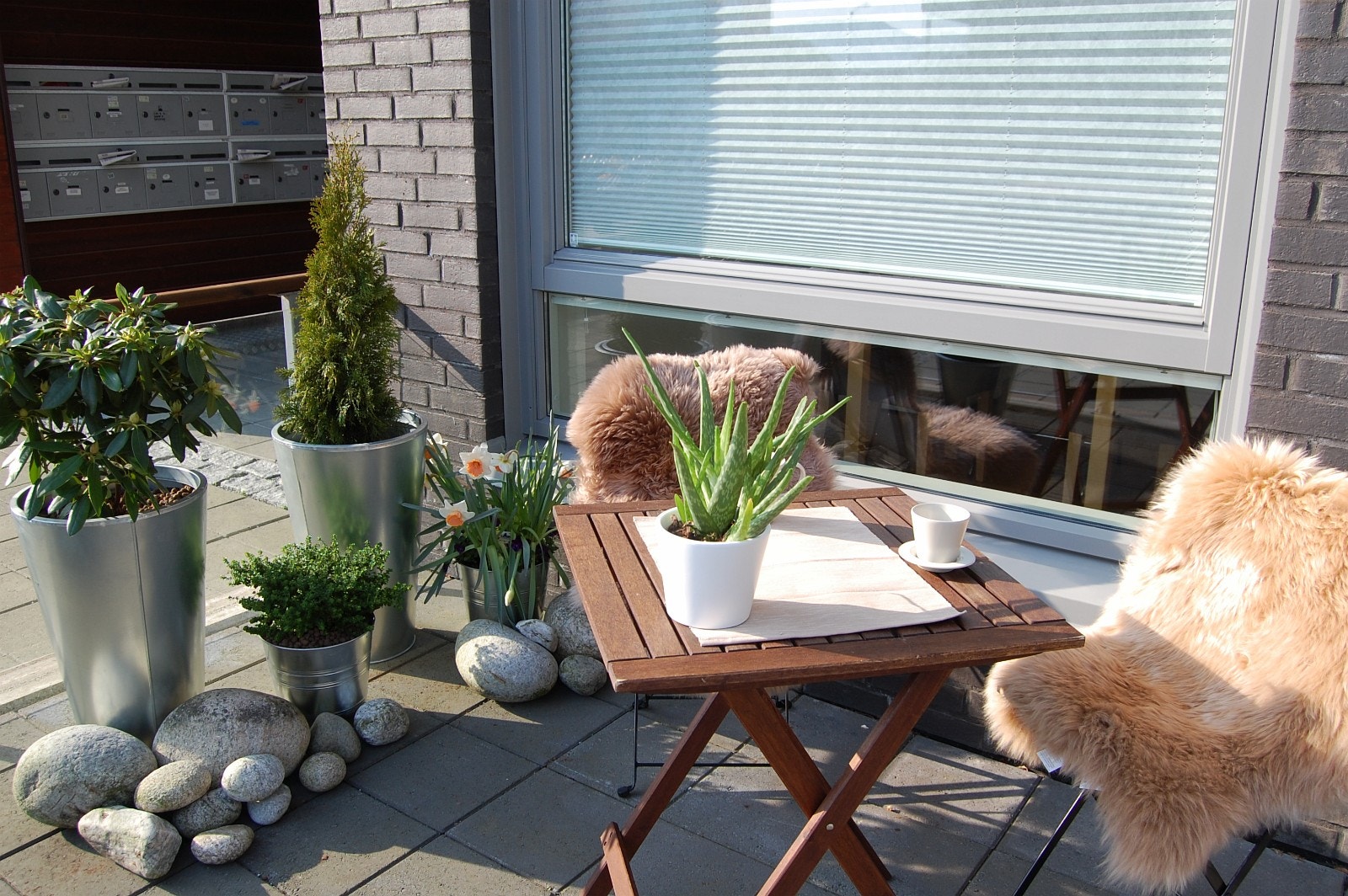 Formiddagssol Galleribilde