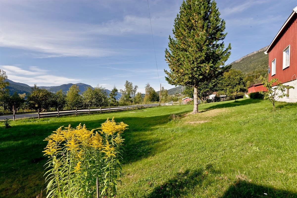 Pent opparbeidet hage med plen, blomster og busker. Galleribilde