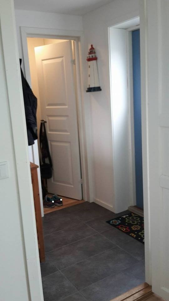 Vindfang Galleribilde