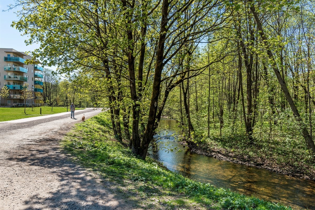 Akerselva Galleribilde