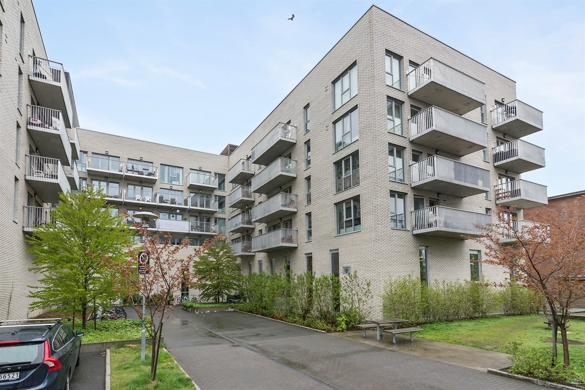 Ali Hashmi ved Eie Stovner har gleden av å presentere Peter Møllers vei 5 B Galleribilde