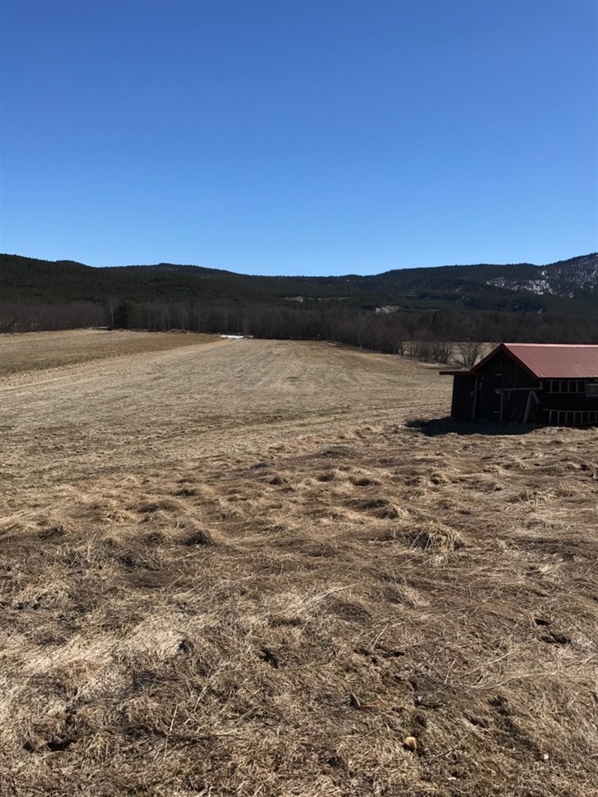 Jordet som ligger ved hovedhuset og stallen. Galleribilde