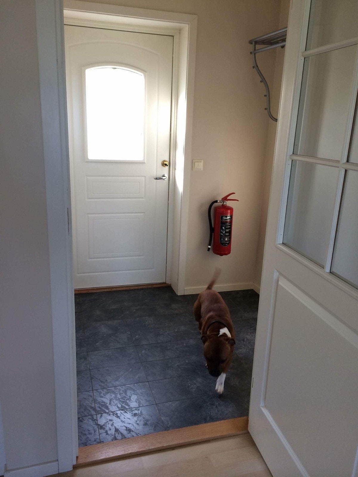 Gang/vindfang Galleribilde