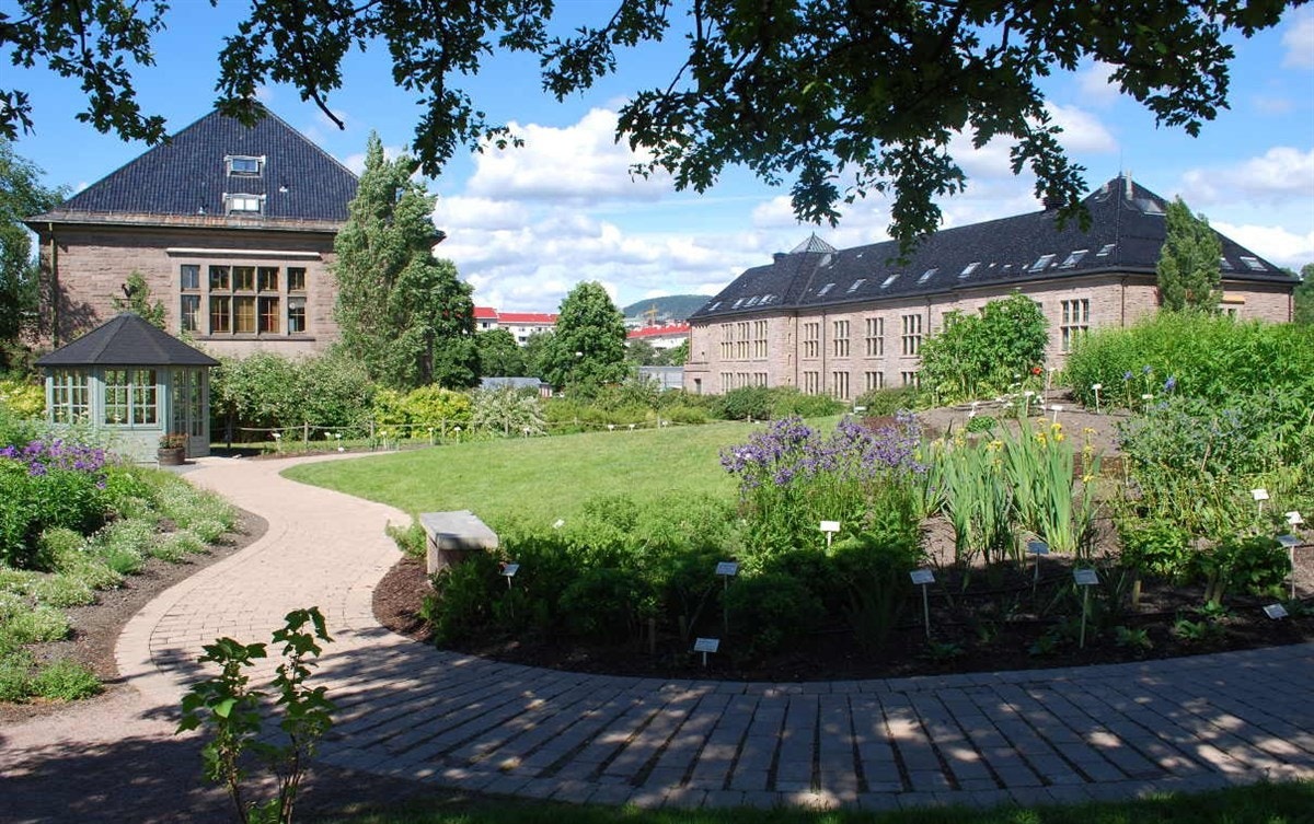 I Botanisk hage slynger interne gangstier seg blant trær, gressplener og hundrevis av plantearter. Galleribilde