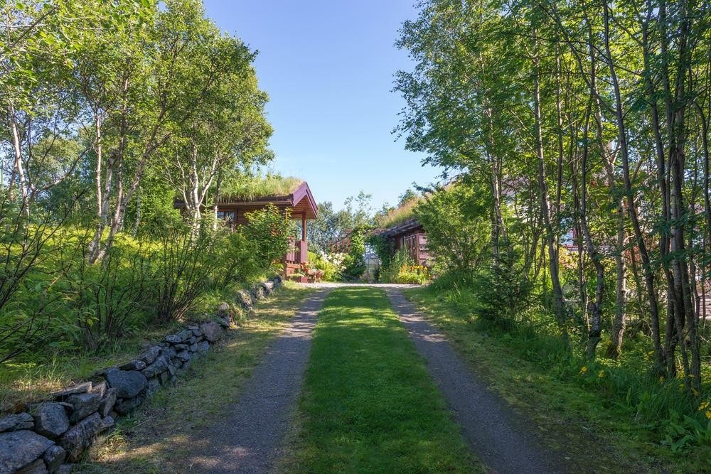 Allé fra carport Galleribilde