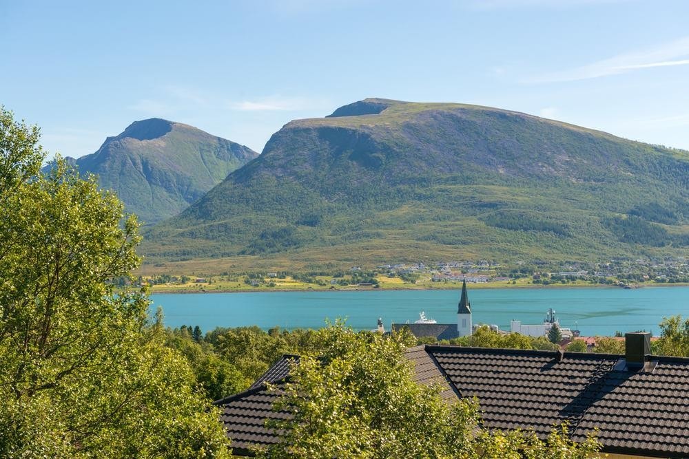 Utsikt mot Strand Galleribilde