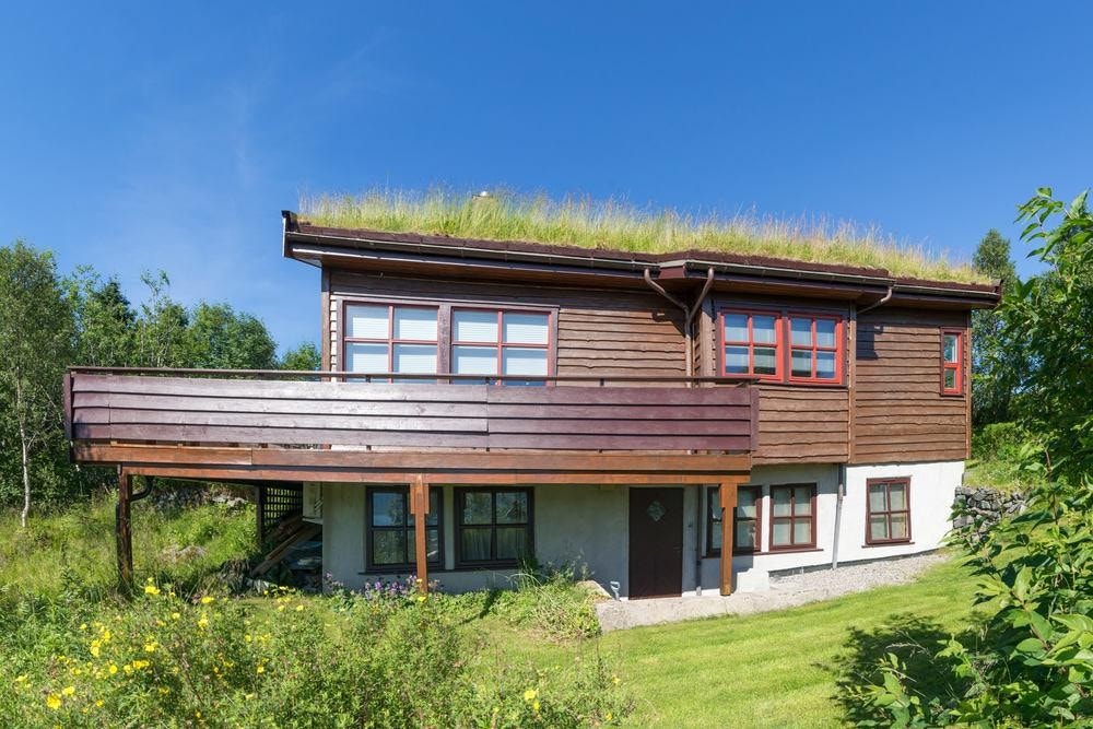 Fasade med villmarkspanel og torv på tak Galleribilde