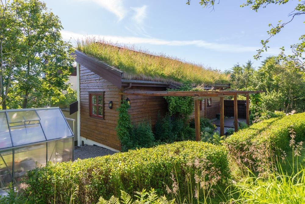 Pergola, slyngplanter (clematis), hekk og veksthus Galleribilde