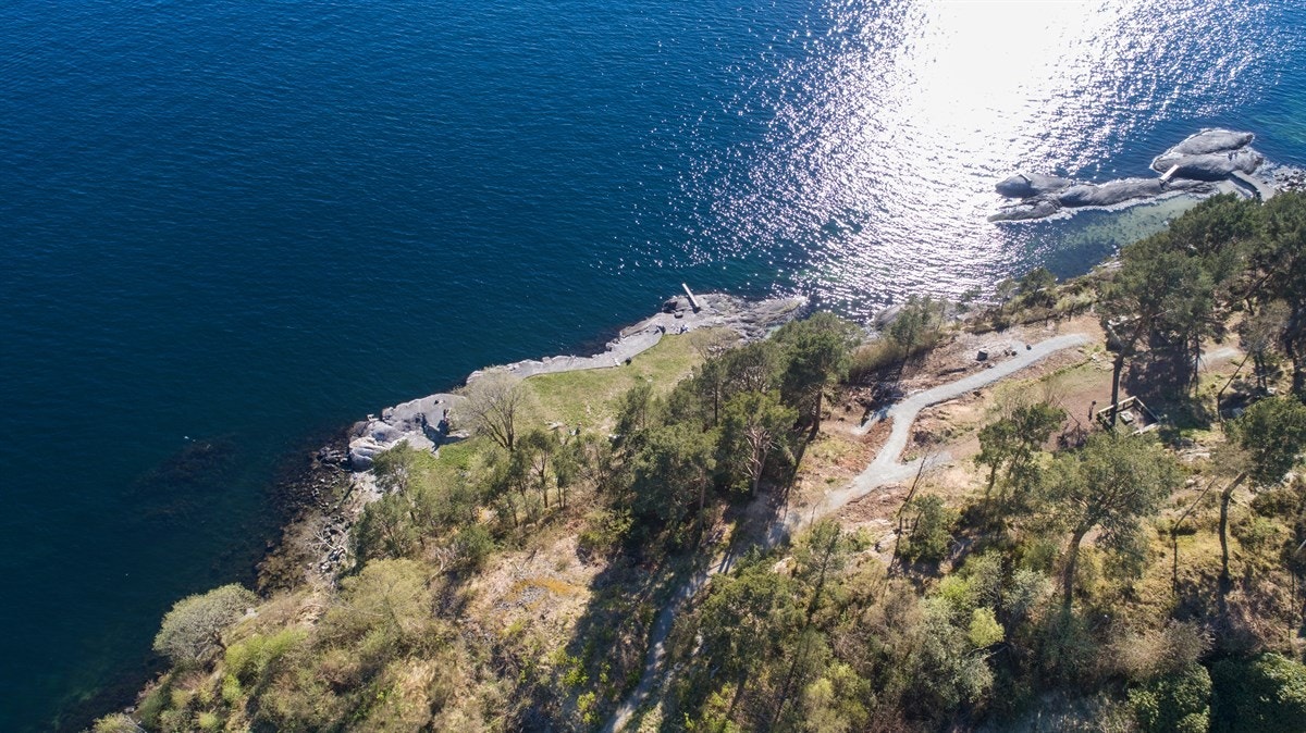 Grønneskjæret- Galleribilde