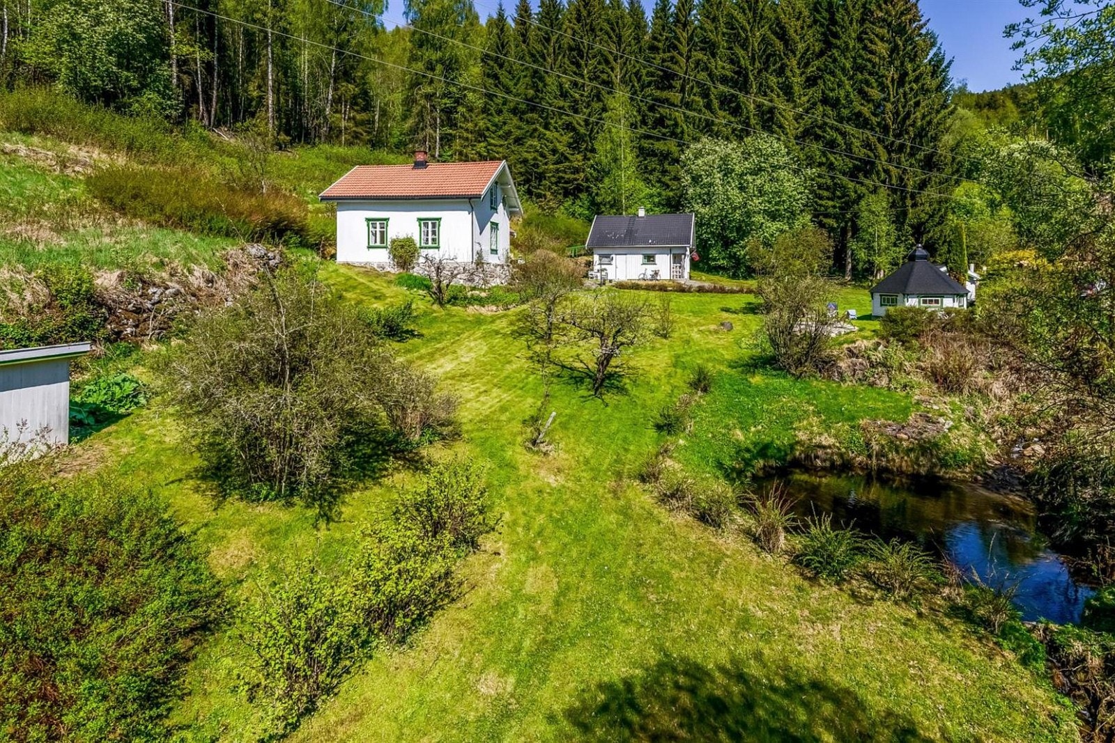 Pent opparbeidet hage med en liten dam, plen og prydbusker Galleribilde