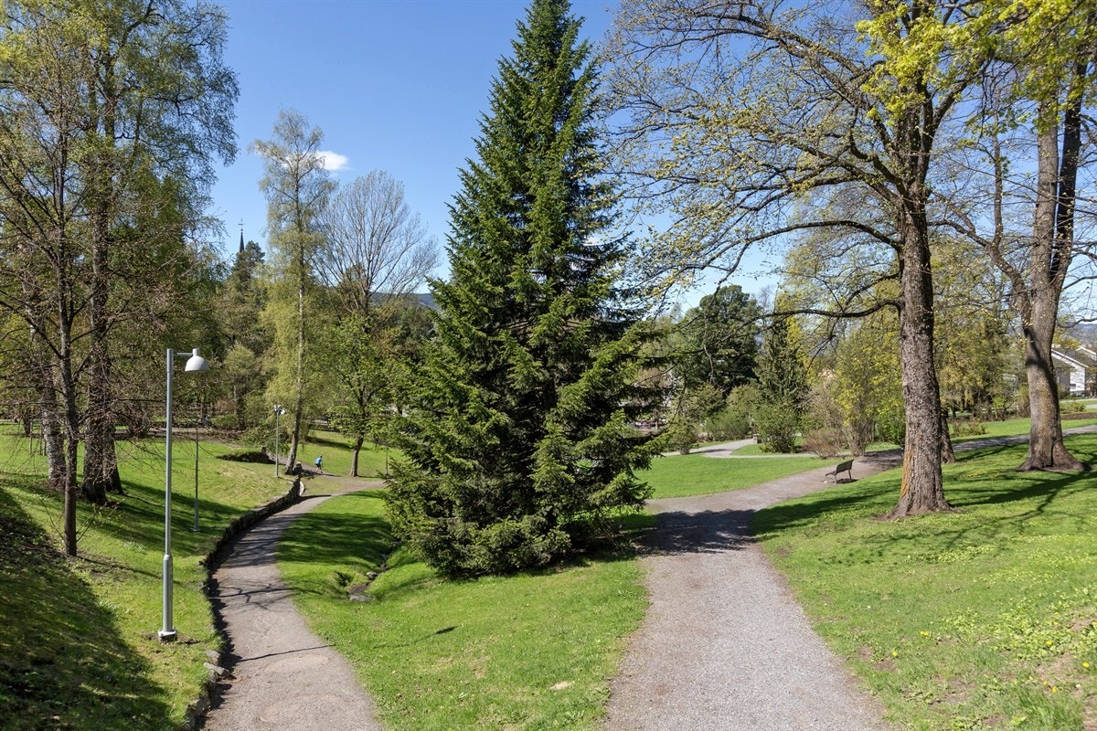 Det er sykkel og gangvei hele veien til Høgskolen i Lillehammer (HiL) som tilbyr en rekke med studiemuligheter. Galleribilde