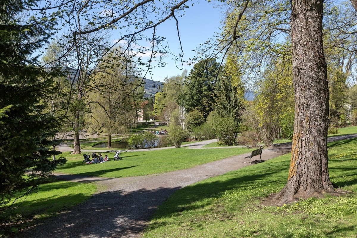 Søndre Park ligger som en av de nærmeste naboene, og kan benyttes året rundt. Her finner man også en trivelig Cafè med både ute og inne servering. Galleribilde