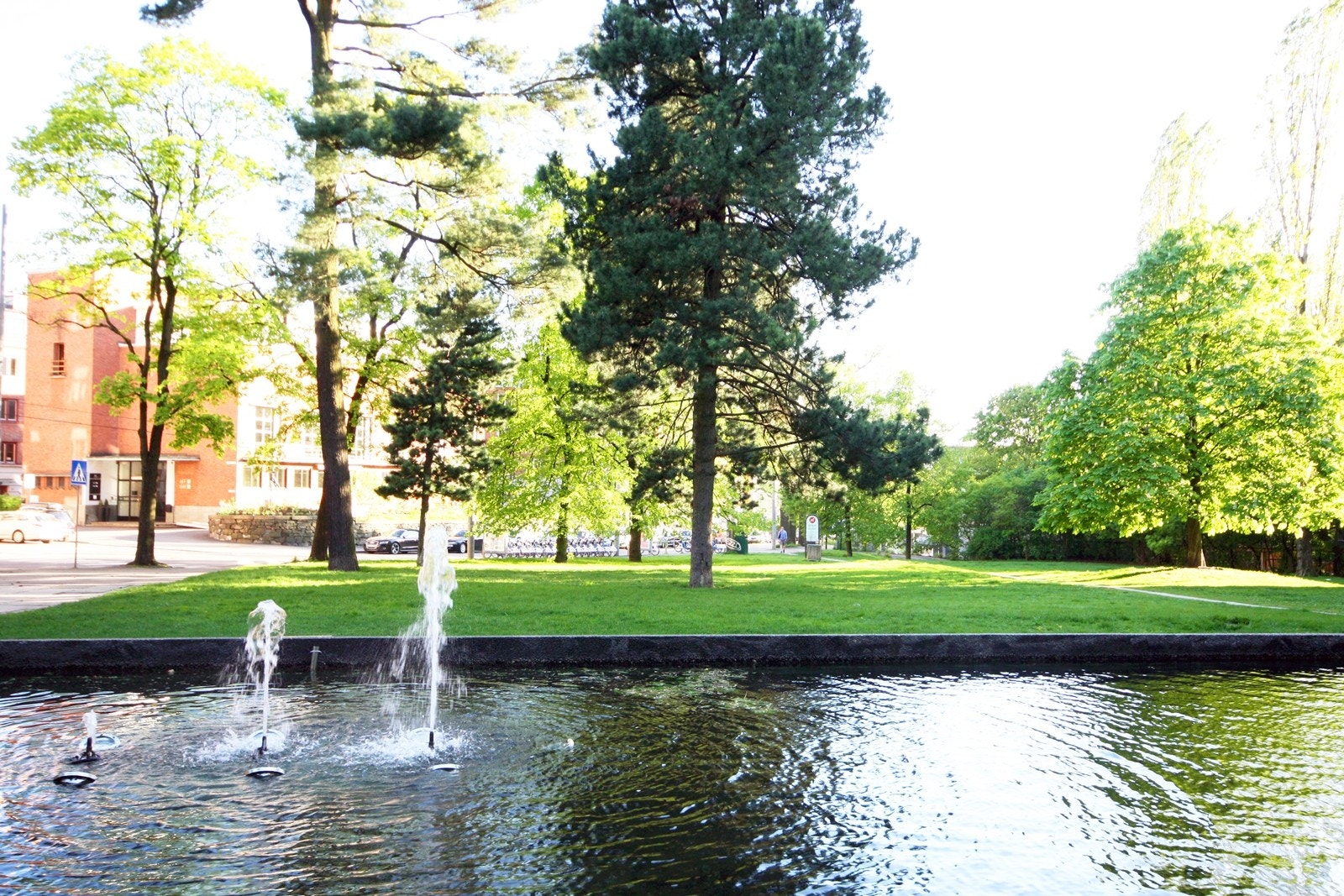 Nærområdet Galleribilde