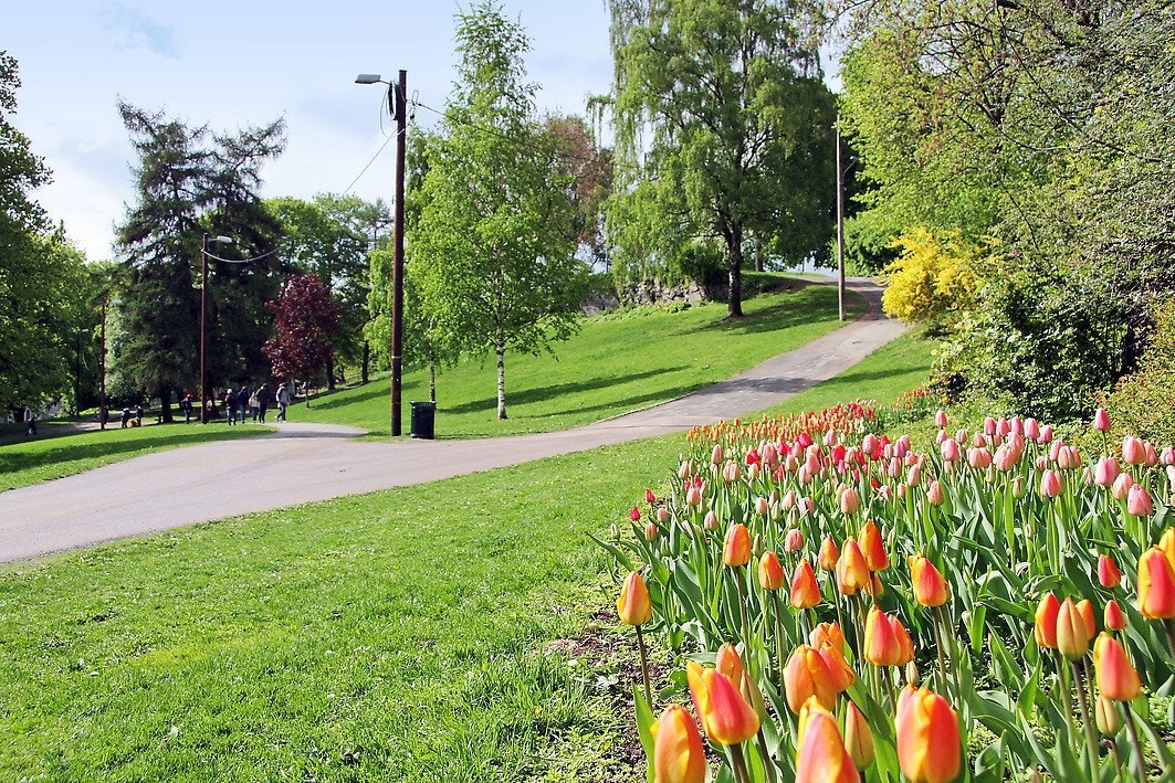 Området er omkranset av flere parker og grøntområder. Gangavstand til Slottsparken, Stensparken og St. Hanshaugen park. For øvrig ikke langt til vakre Frognerparken med skulptursamlingen Vigelandsanlegget og frodige Frognerbadet. Galleribilde