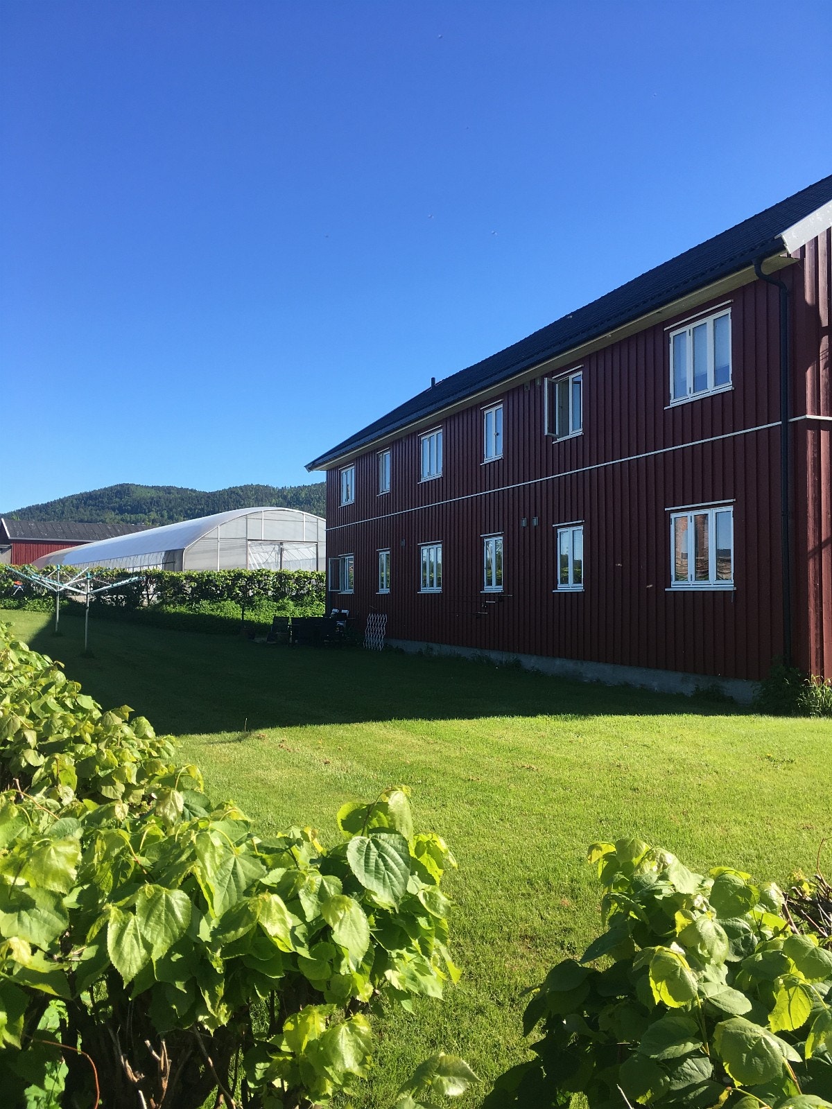 2. etg midten Galleribilde