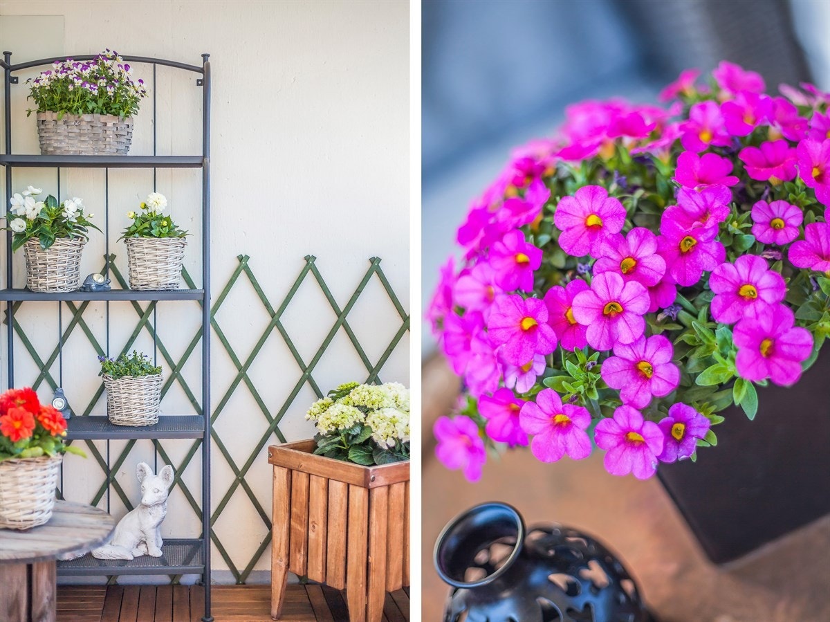 Velkommen til ditt nye hjem! Galleribilde