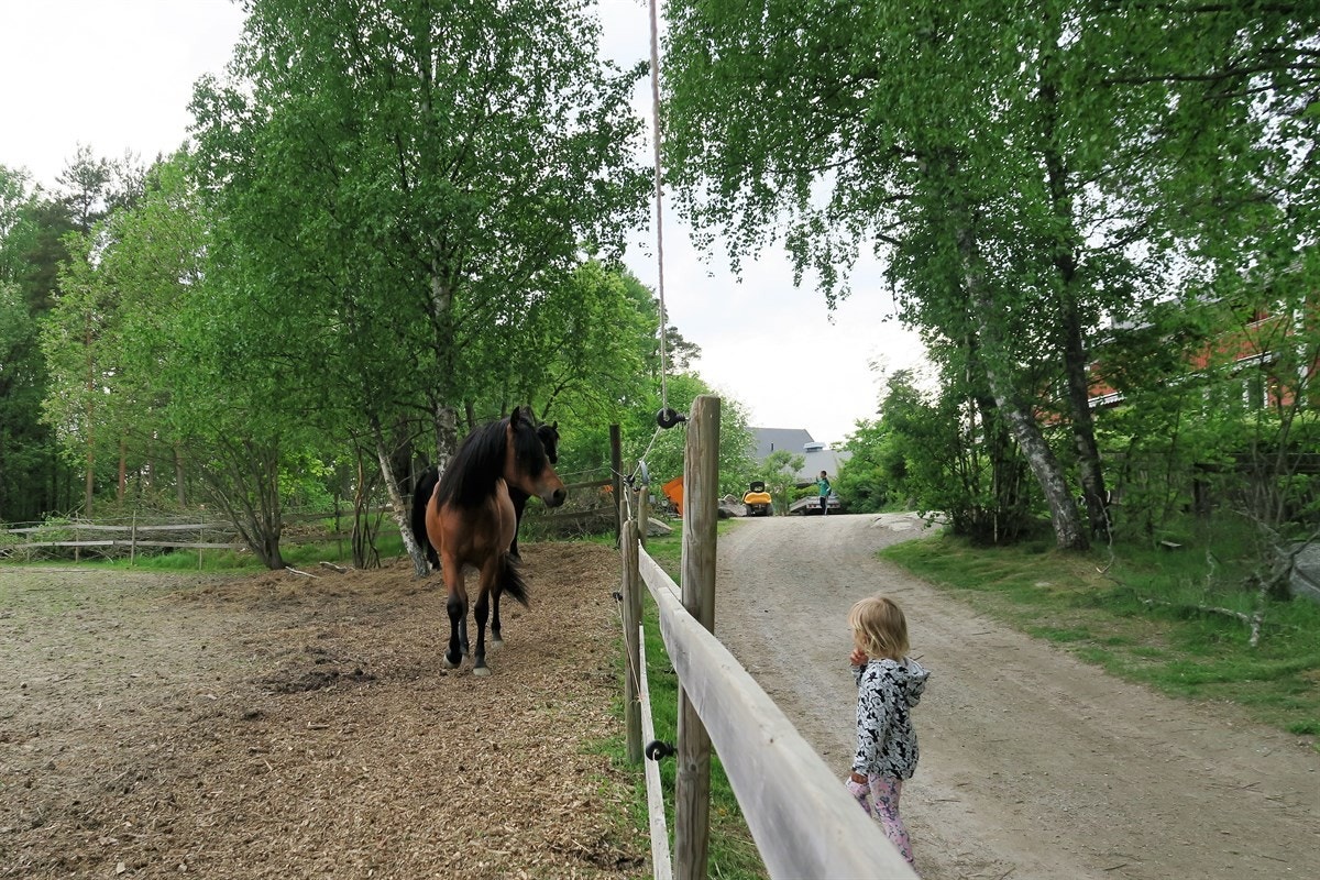 Noen hundre meter fra boligen ligger Burud gård, som har hester på beite Galleribilde