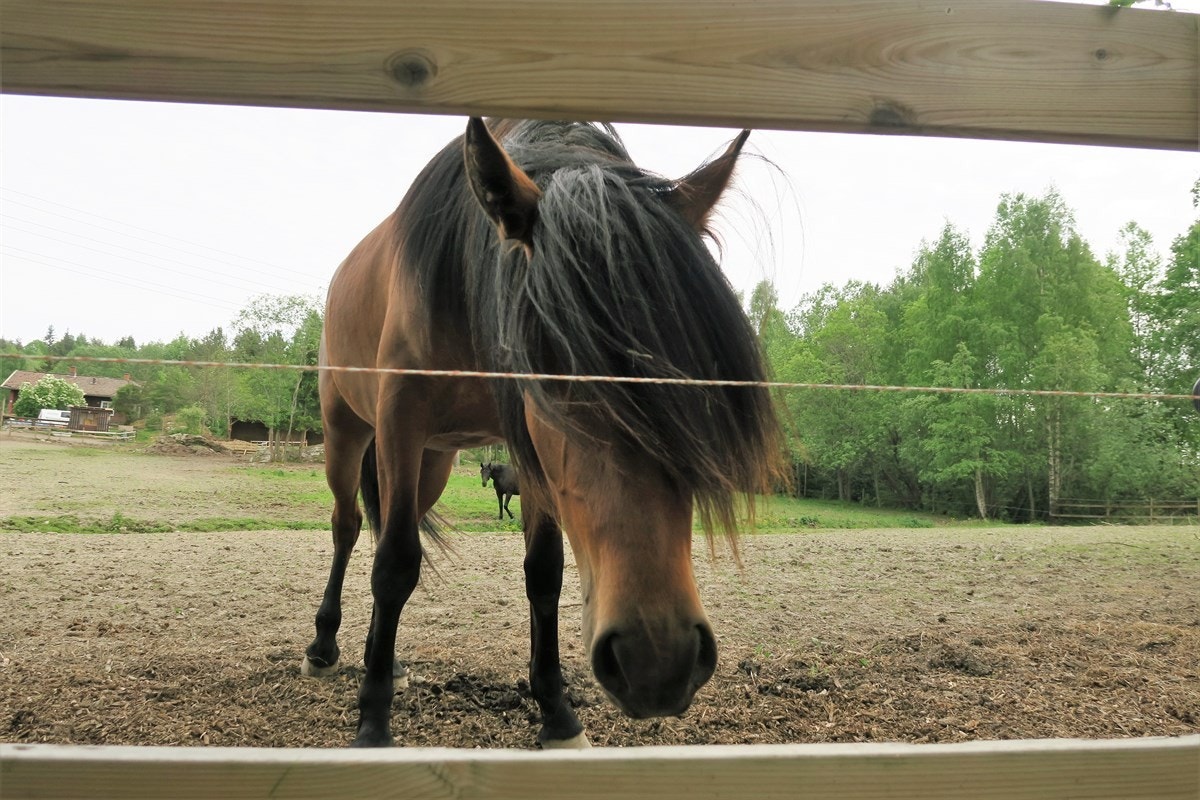 Burud gård Galleribilde