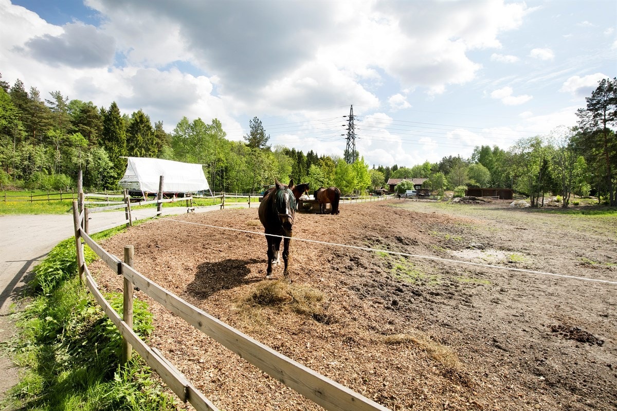 Boligen ligger i et etablert og svært barnevennlig boligområde på Rugdeberget/Hauketo Galleribilde