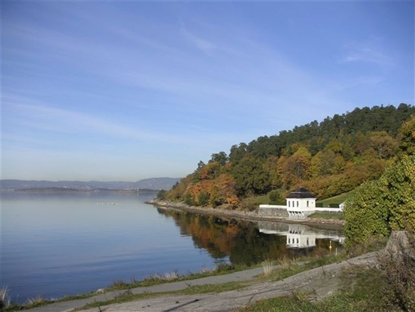 Hvervenbukta er en meget populær badeplass med svaberg og grønne lunger. Galleribilde